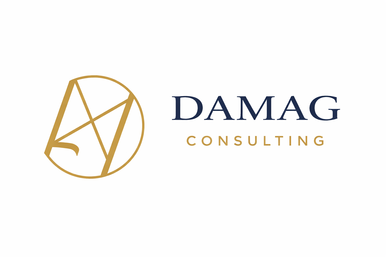 Logo DAMAG Consulting